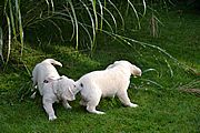 Besuch von Schwester Frida