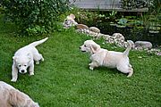 Besuch von Schwester Frida