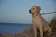 Oona's erster Ausflug an die Nordseeküste