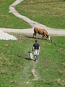 Emma und Ihre erste Wanderung in den Bergen