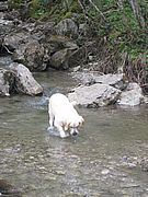 Emma und Ihre erste Wanderung in den Bergen