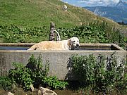 Emma in Österreich